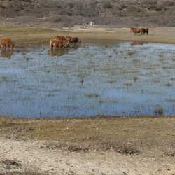 サウス ケネモアランド国立公園