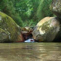 Henri Pittier National Park