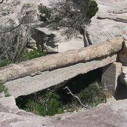 Petrified-Forest-Nationalpark
