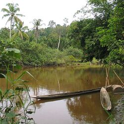 ムンタワイ諸島