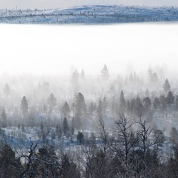 Parc national de Lemmenjoki