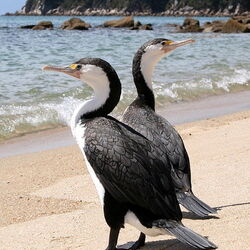 Abel Tasman Nationalpark