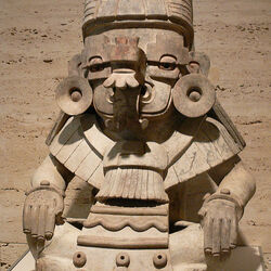 مونتي ألبان