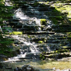 フォリロン国立公園