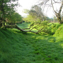 达特穆尔国家公园