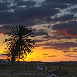 グラン・カナリア島