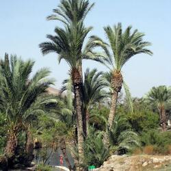 ガン ハシュロシャ国立公園