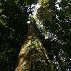 Îles Andaman et Nicobar