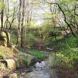 Central Park de Nova York