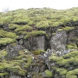 Thingvellir National Park
