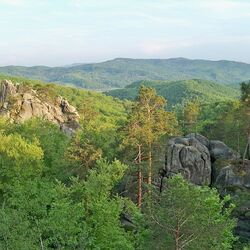 ドブブッシュロックス