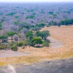 Parc national de Katavi