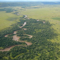 Masai Mara