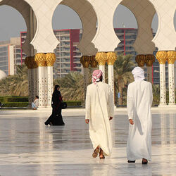 謝赫扎耶德大清真寺