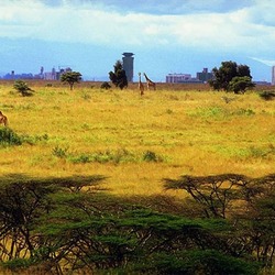 متنزه نيروبي الوطني