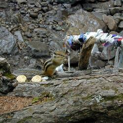 منتزه الخاني الوطني