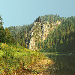 In Scheiben geschnitten