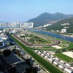 沙田競馬場