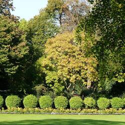 ルクセンブルク庭園