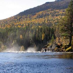 パーナヤルビ国立公園