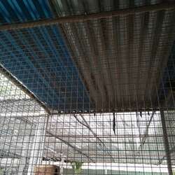 タンジュン ベノア