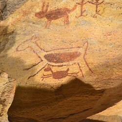 セラ・ダ・カピバラ国立公園