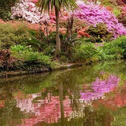 Сад Эксбери