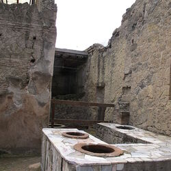 ヘルクラネウム