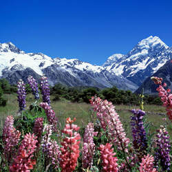 マウント クック国立公園