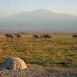 Parque Nacional Amboseli