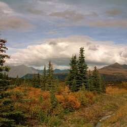 Parc national de Denali