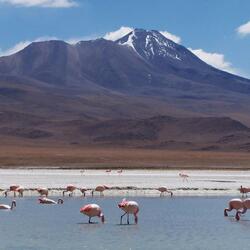 حديقة إدواردو أفاروا الوطنية