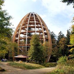 巴伐利亞森林國家公園