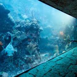 Interactive aquarium in Cancun