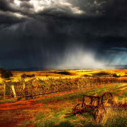 Долина Баросса