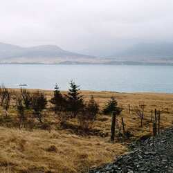 ホエールフィヨルド