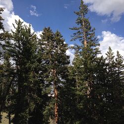 Parc national du Grand Bassin