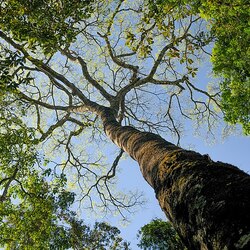エマス国立公園