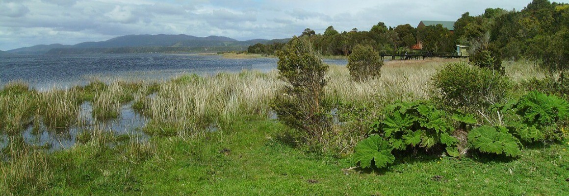 Chiloe National Park