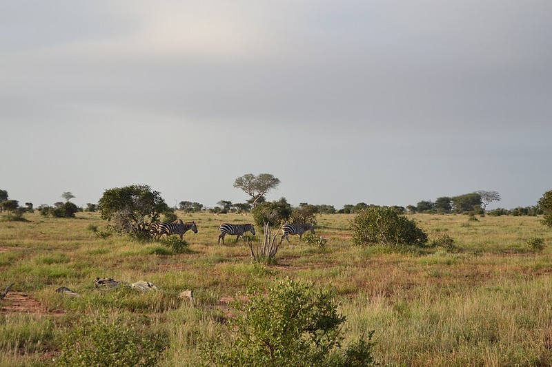 Parc national de Tsavo East