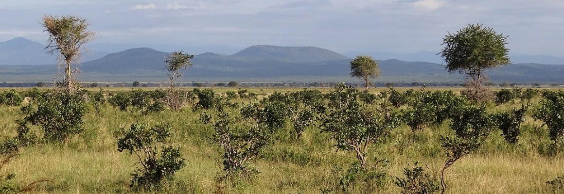 Parc national de Mikumi
