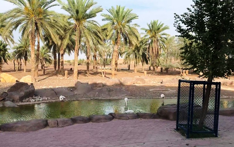 Sharjah Zoo - photo 5