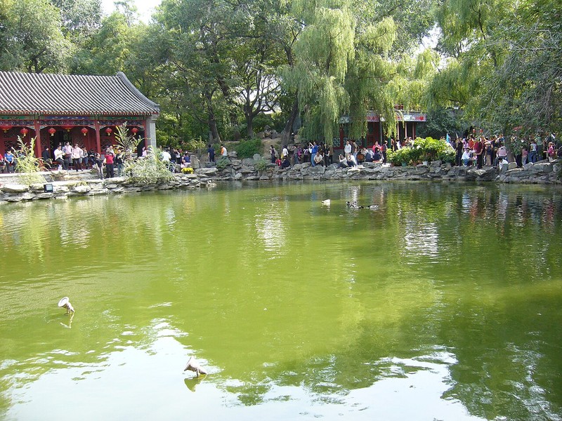 公望府