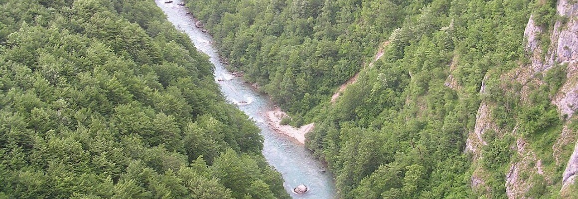 Desfiladeiro do Rio Tara