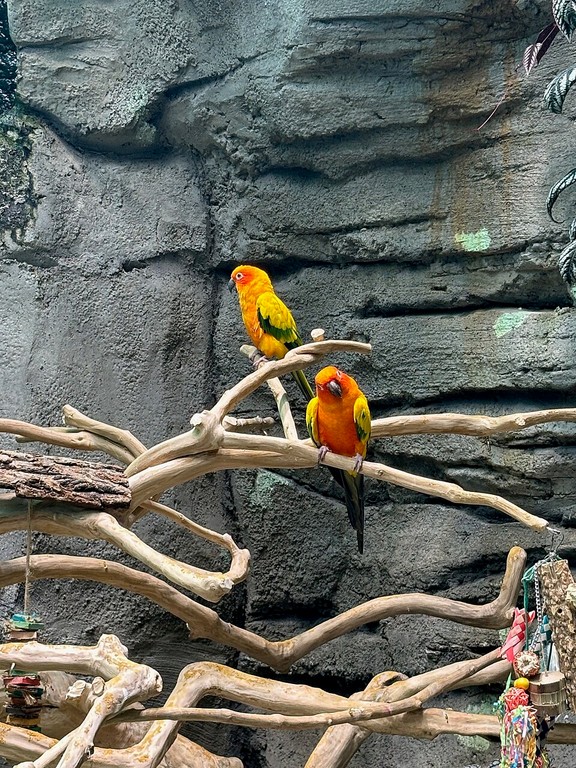 Научный центр Орландо