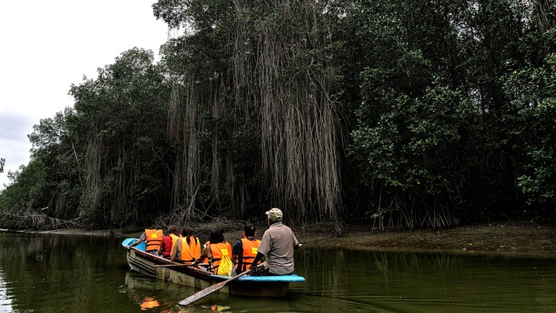 Mangroves de Tumbes