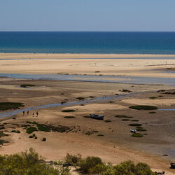 リアフォルモサ