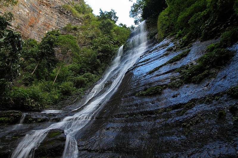 Cueva del Guácharo National Park - photo 13