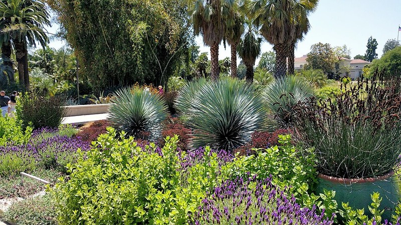 Jardines Botánicos de Huntington