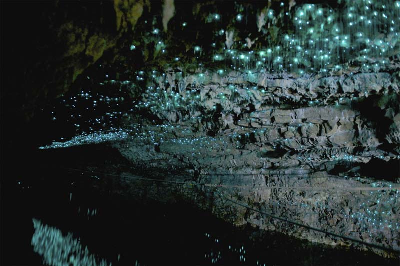 Cavernas Waitomo